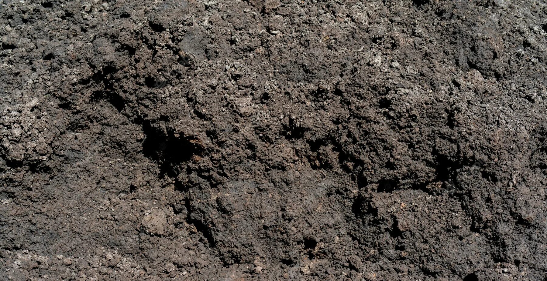 Черная почва. Видеть черную землю. Видеть черную землю. Чернозем почва. Видеть черную землю.