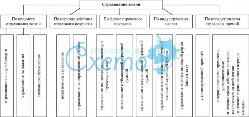 Классификация форм жизни