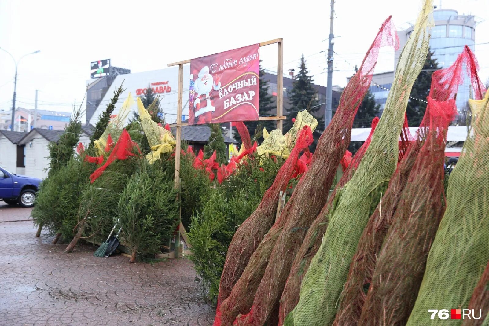 елочный базар екатеринбург адреса. елочный базар иваново 2022. елочный базар екатеринбург адреса. елочный базар екатеринбург адреса. елочный базар екатеринбург адреса.