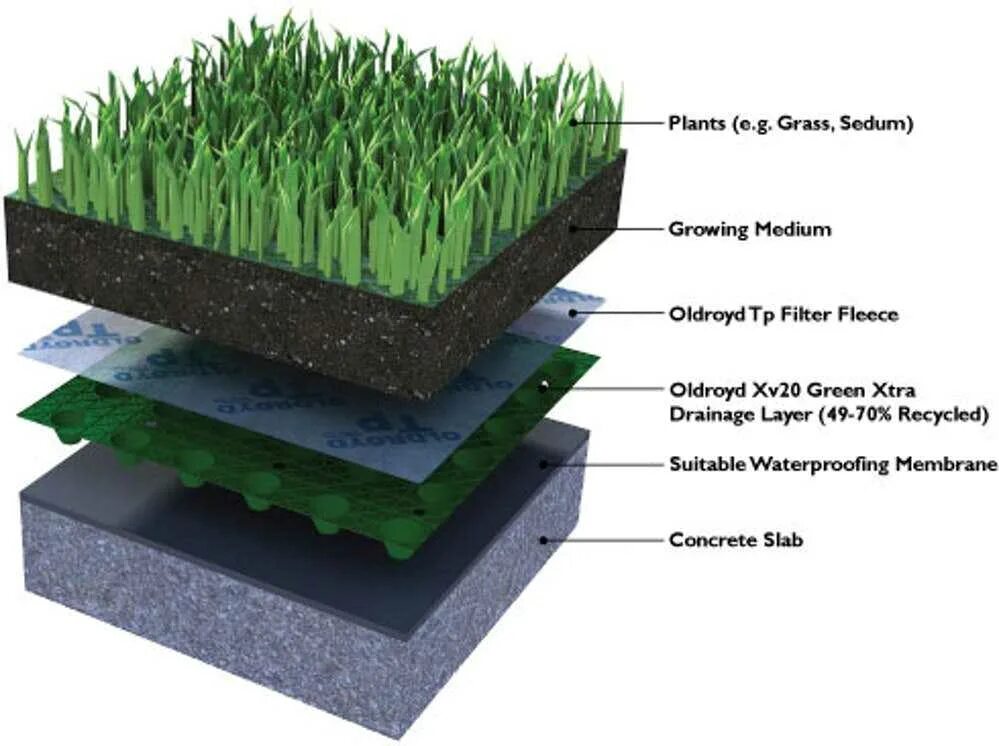 Green detail. Высота рулонного газона с дерном. Экстенсивная зеленая кровля плоская. Экстенсивная зеленая кровля пирог. Пирог укладки рулонного газона.