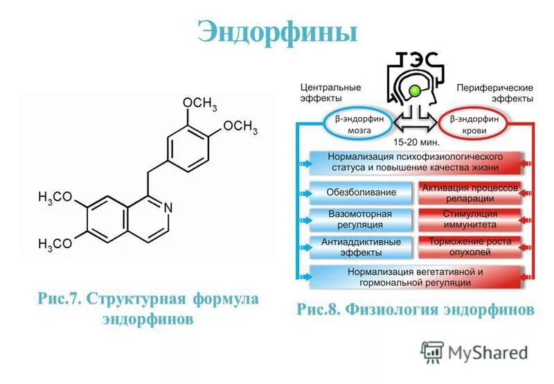 Про эндорфины. Гормон счастья формула химическая. Химическая формула эндорфина. Формула серотонина биохимия. Химическая схема эндорфина.