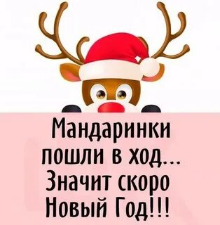Где быстрее наступит новый год