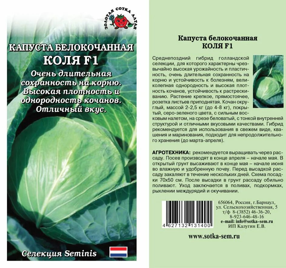 Коля капуста описание. Капуста белокочанная Коля f1. Сорт капусты белокочанной: Коля f1 Голландия. Капуста сорт Коля. Капуста б/к Мегатон f1.