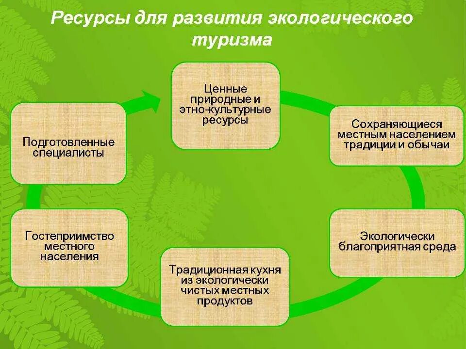 Экологическая деятельность в рф. Факторы развития экологического туризма в России. Экотуризм схема. Перспективы развития экотуризма в России. Ресурсы экологического туризма.