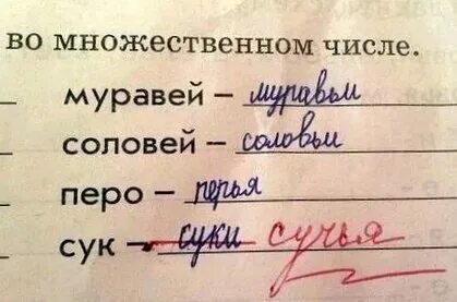 Как понять сука