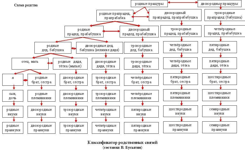 Определить родственные связи