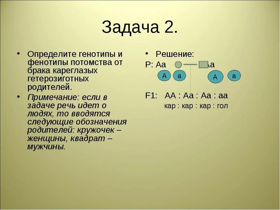 Генетические задачи. Задачи по генетике человека. Как определить генотип и фенотип. Задача по генетике на цвет глаз.