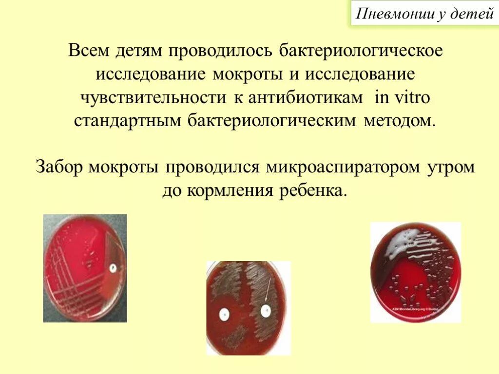 Мокроту для бактериологического. Бактериологический анализ мокроты. Бактериологический метод исследования мокроты. Бактериологическое исследование мокроты цель исследования. Цель бактериологического исследования мокроты.