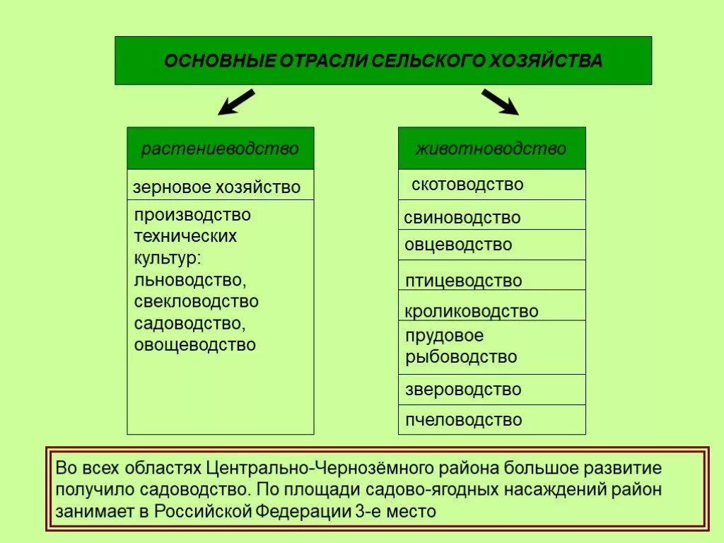 Главная сельскохозяйственная культура Центрально Черноземный район. Отрасли хозяйства центрального района России таблица. Отраслевая структура хозяйства ЦЧР таблица. Отрасли специализации Центрально Черноземного района таблица. Растениеводство 10 класс география