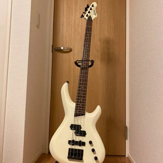 Aria bass. Бас гитара Aria Pro 2 Avante Series. Электрогитара Aria Pro 2. Aria Pro 2 Avante 5 String. Aria Pro II Vanguard.