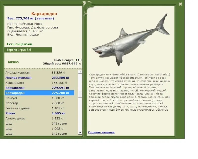 Акула русская рыбалка. Короткопёрая серая акула. Вес акулы. Русская рыбалка акулы. Размер обычной акулы.