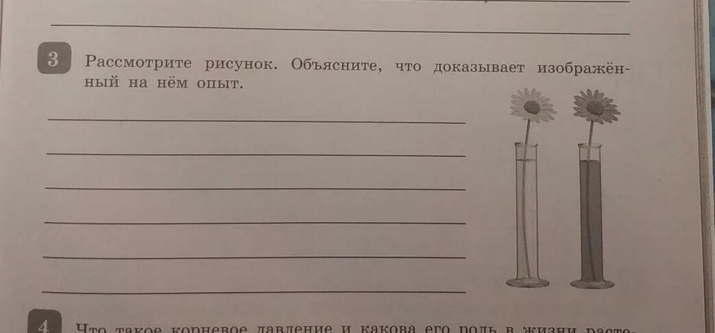 Рассмотрите изображенный опыт. Рассмотрите рисунок объясните. Рассмотрите рисунок объясните что на нем изображено. Рассмотрите рисунок . Что изображено на. Объясни что нарисовано.