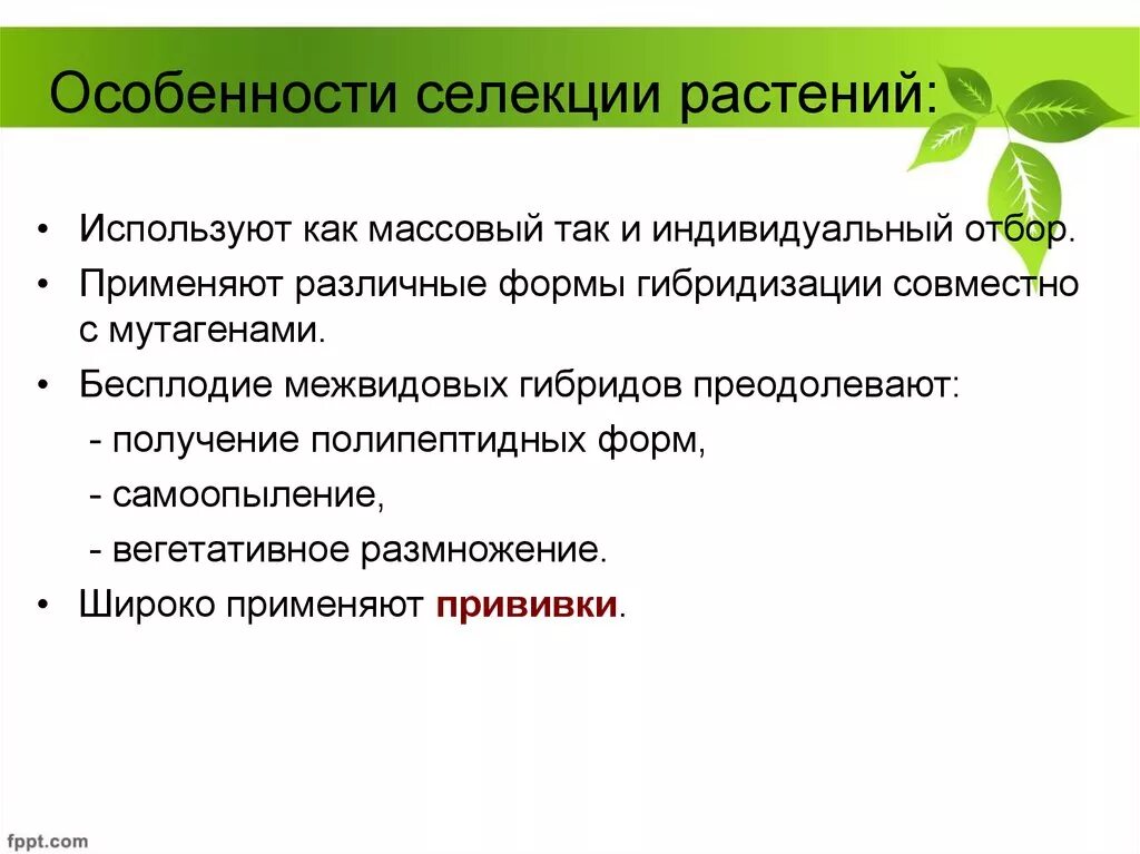 Особенности селекции. Характеристика селекции. Селекция растений. Селекция растений презентация. Бесплодие у растений