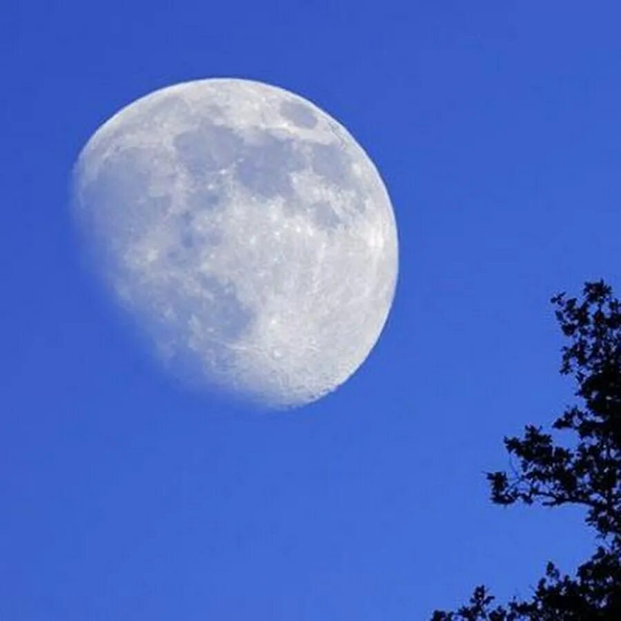 Растущая Луна. Убывающая Луна. Растущая Луна фото. Молодая Луна.