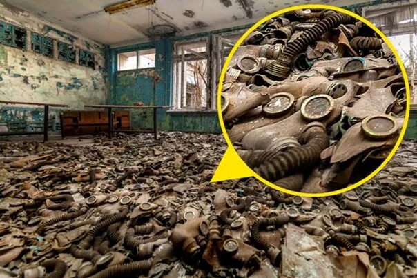 Чернобыль Мутирование. Мутации после взрыва на Чернобыльской АЭС. Чернобыль Припять мутанты.
