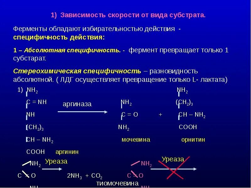 Специфичность примеры. Стереохимическая специфичность ферментов. Абсолютная специфичность ферментов. Абсолютная специфичность действия ферментов. Стереохимическая Субстратная специфичность.