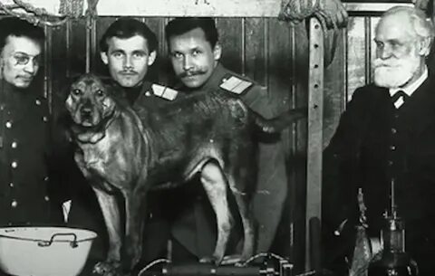 Рязанские академики