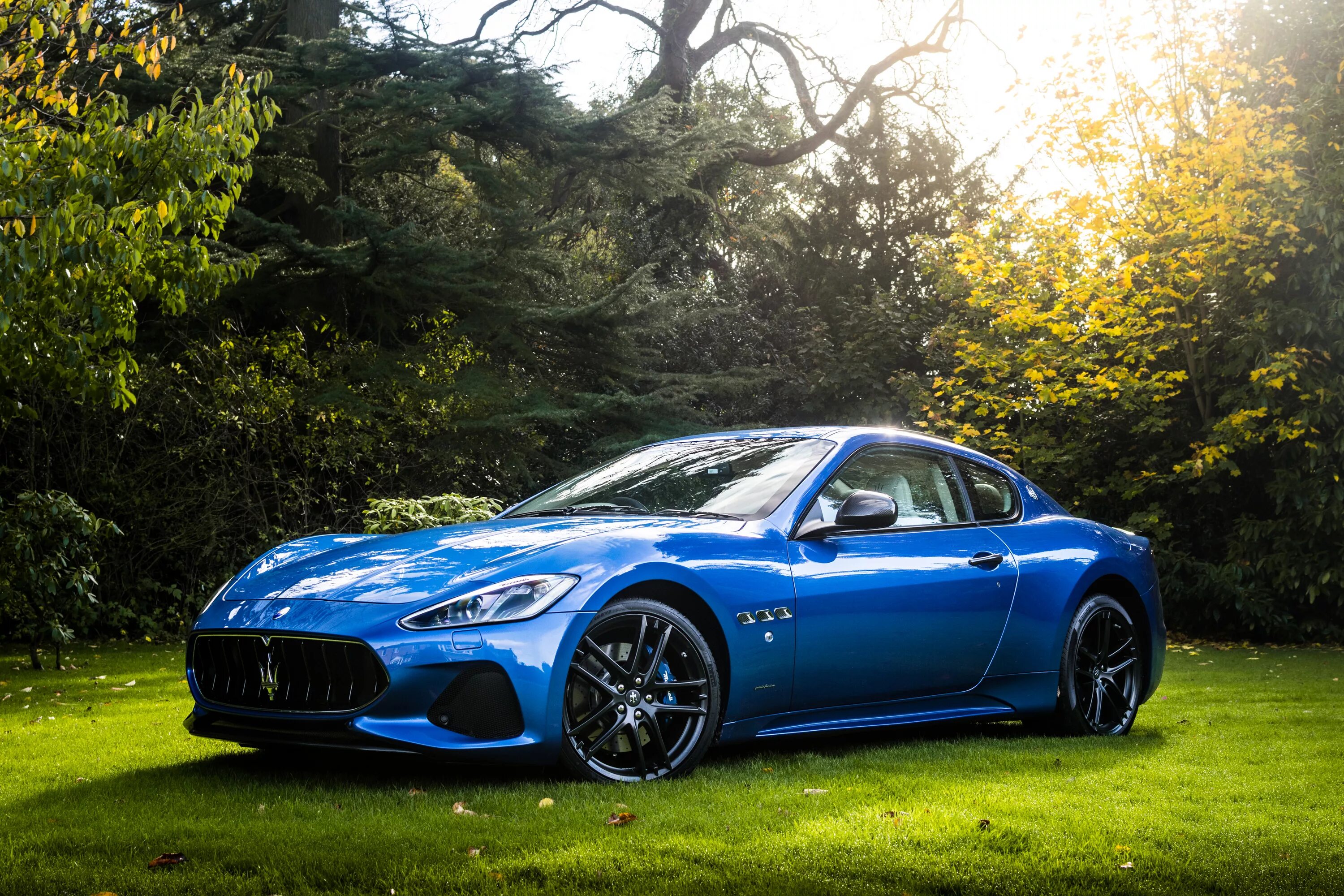 Маленькая синяя машина. Мазерати Гран Туризмо. Maserati GRANTURISMO синий. Maserati GRANTURISMO Sport. Мазерати Гранд Туризмо синяя.