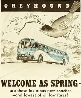 As welcome as a