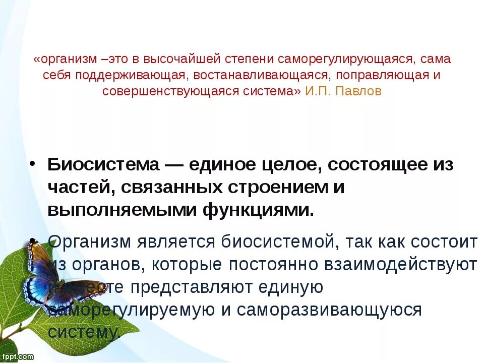 Организм открытая Живая система биосистема. Организм как биологическая система. Открытость биологических систем. Система это в биологии. Живые организмы в открытом