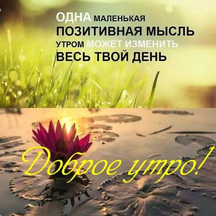 Доброе утро должно выглядеть так - смешные картинки Праздничные открытки, Картин