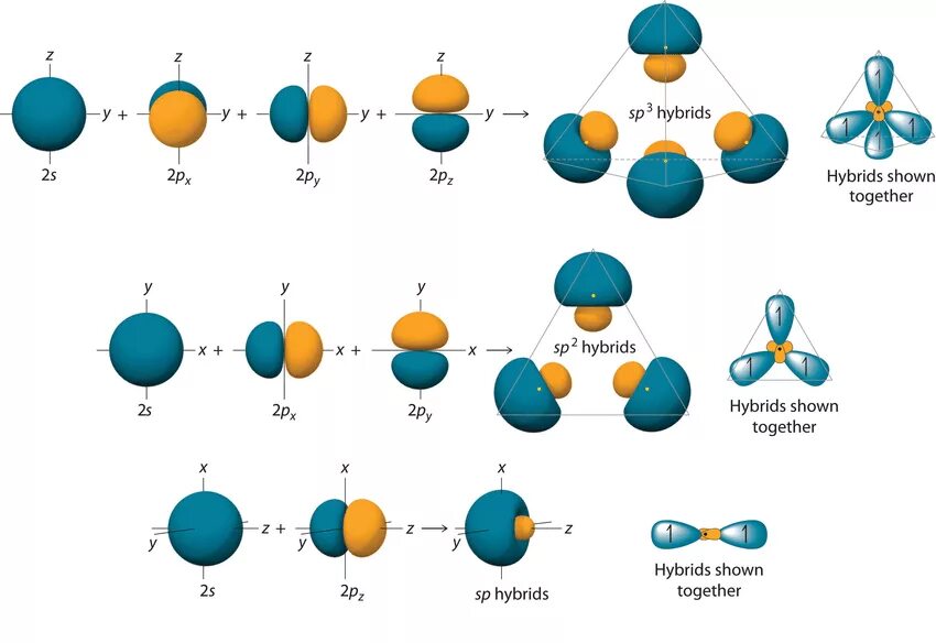 Sp3 sp2 sp гибридизация. Sp2 hybridization. Sp2 Hybrid orbitals. Sp1 sp2 sp3 гибридизация. Sp3 Hybrid Orbital.