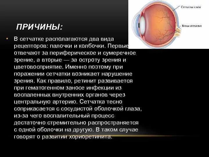 Изображение попадает если оно расположено впереди сетчатки