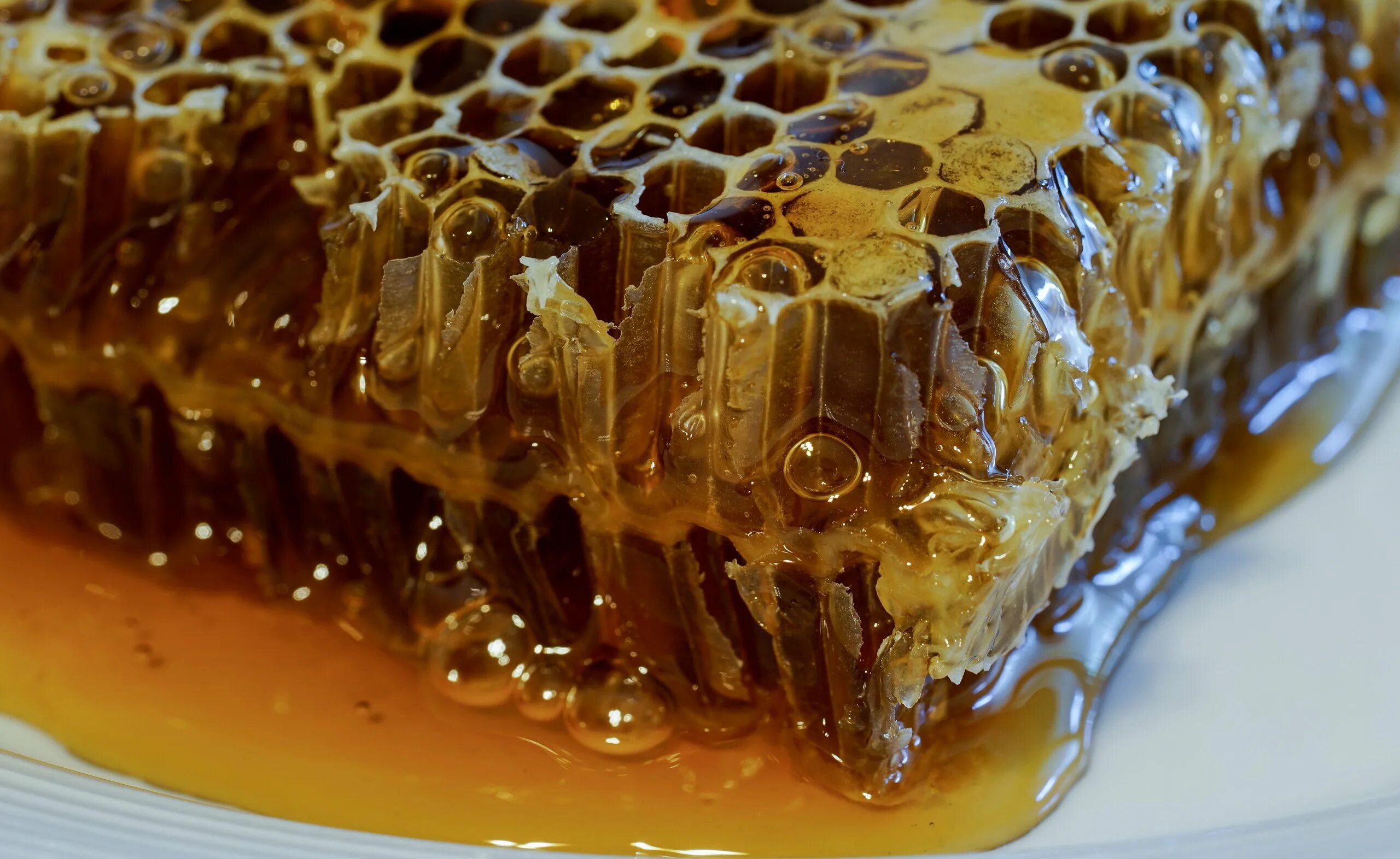 Сотовый мед. Соты пчелиные. Пчелиный мёд. Медовые соты.