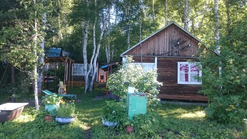 Снт луч участок. Снт луч новосибирск. Дача в луховицах снт луч. Снт луч новосибирск. Снт луч бердск отзывы.