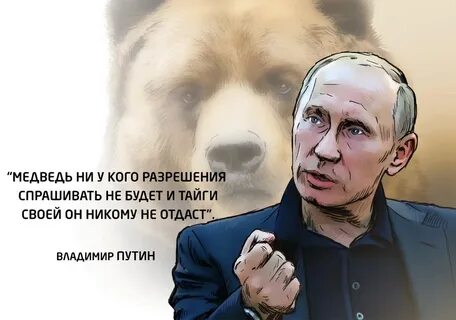 Медведь афоризмы