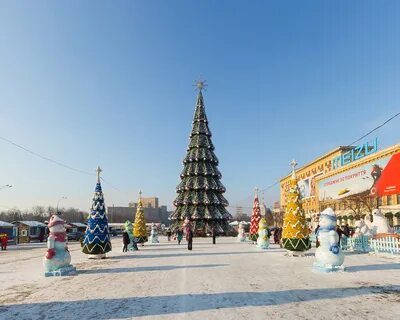 Ели харьков
