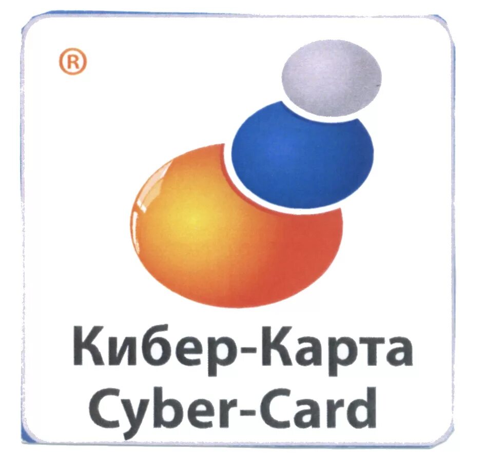 Кибер карта для школьников. Кибер карта школьника. Пластиковая карта кибер. Кибер карта. Кибер карта брелок.