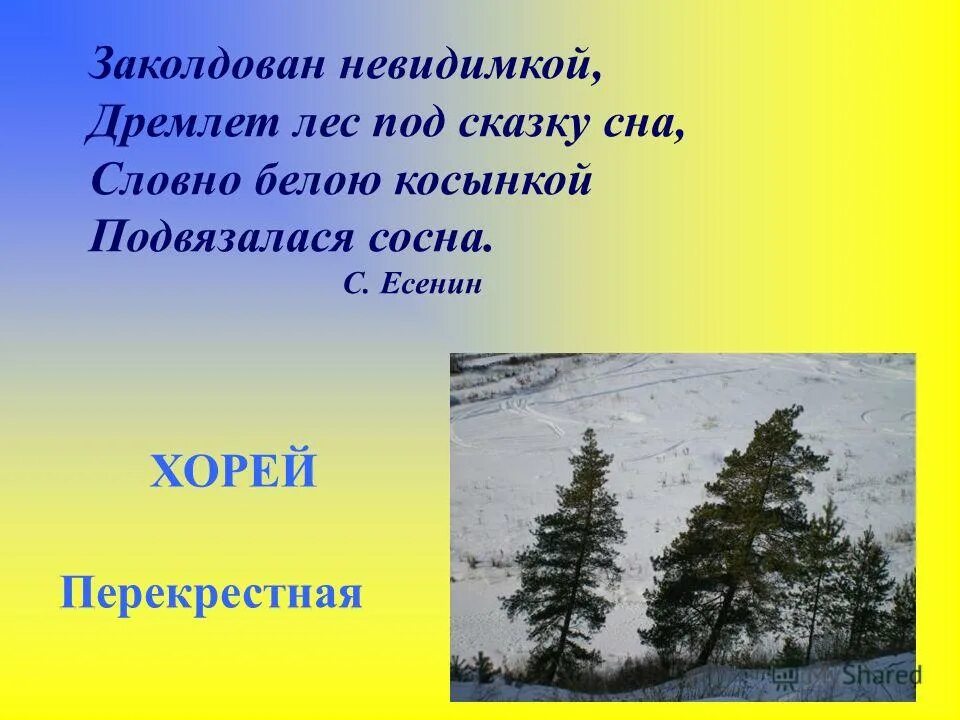 дремлет лес под сказку сна, словно белою косынкой подвязалася. заколдован невидимкой дремлет. заколдован невидимкой дремлет. заколдован невидимкой дремлет лес. стих заколдован невидимкой.