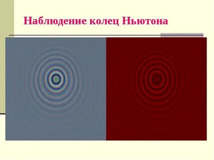 Наблюдение колец ньютона