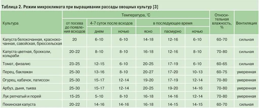 Температура выращивания рассады томатов. Какую температуру выдерживает рассада томатов в теплице. Оптимальная температура для выращивания томатов. Какую температуру выдерживает рассада в открытом грунте.