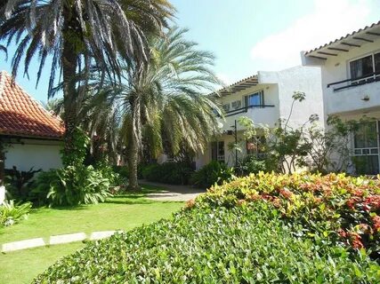 Palm beach 3