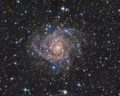 Universe face