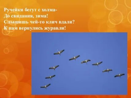 Почему листопадничку захотелось убежать за журавлями