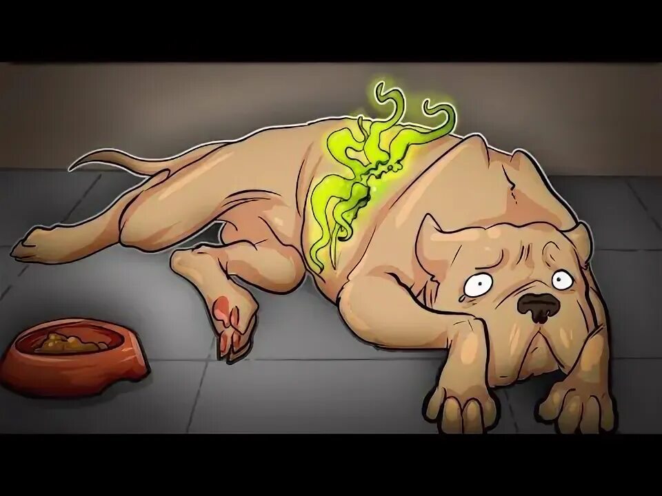 Final dog