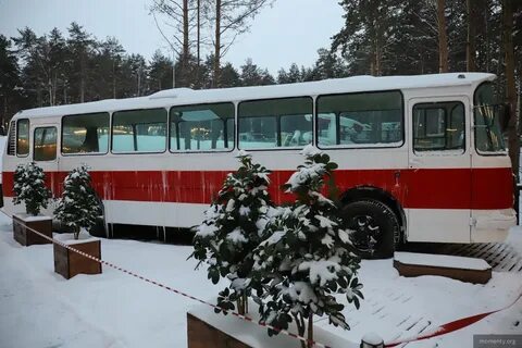 Автобус парная