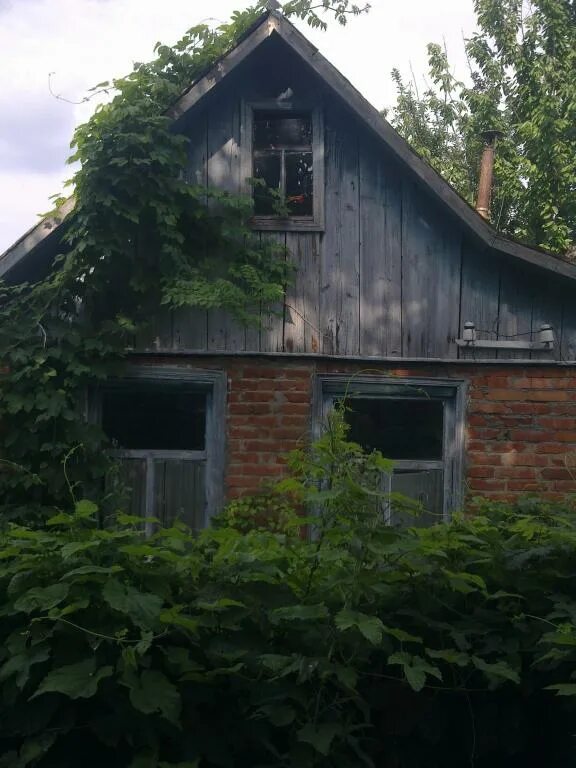 Кубань дача. Шале дача кубанец. Дача на юге. Снт приазовец славянск. Кубань дача.