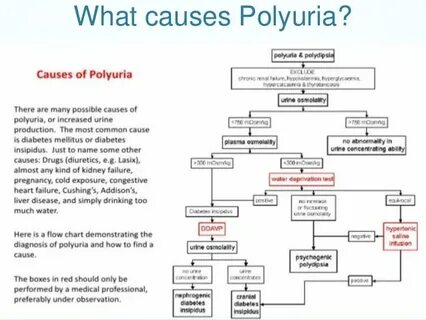 Polyuria латынь