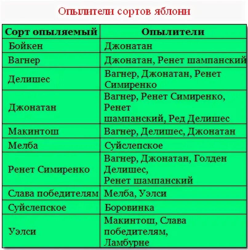 Сорта опылители колоновидных яблонь. Яблони опылители таблица. Сорта опылители для яблонь. Сорта опылители черешни таблица. Таблица перекрестного опыления яблони.