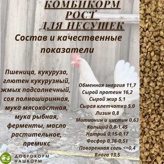 Нужно ли запаривать комбикорм