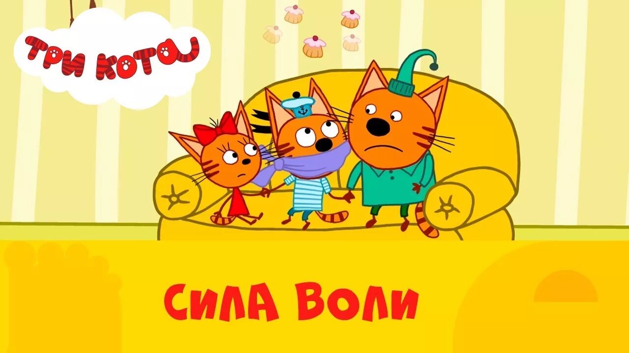 Три кота стс kids. Три кота на СТС Kids. Три кота сила воли. Три кота Телеканал о детям.