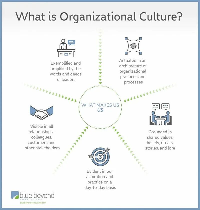 What is an organization