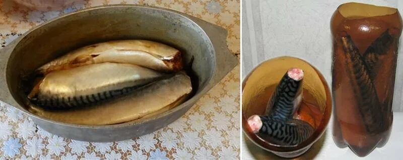 Скумбрия в рассоле в луковой шелухе. Скумбрия копчёная в бутылке. скумбрия в темной бутылке. скумбрия копченая в банке. скумбрия в бутылке.