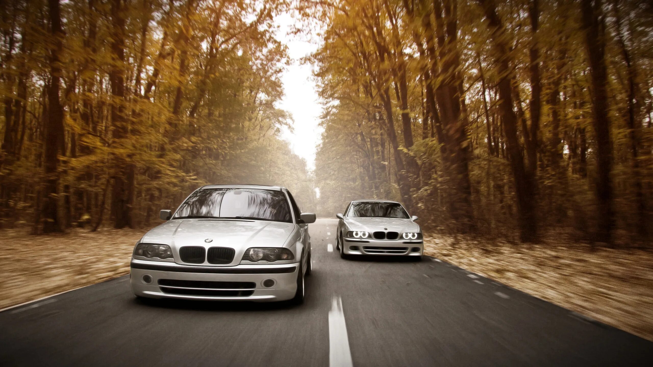 BMW 5 е39. BMW e39 stance works. BMW e46 e39. БМВ е39 дорестайлинг. Скорость е34