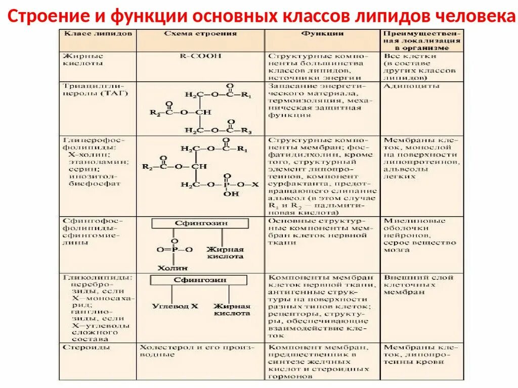 Биологические функции липидов в организме. Строение и функции основных классов липидов. Липиды строение и функции таблица 10 класс. Строение и функции основных классов липидов человека. Липиды строение и функции таблица.