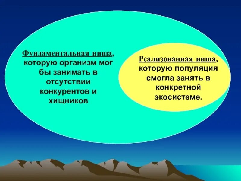 Фундаментальная экологическая ниша. Фундаментальная и реализованная ниша. Фундаментальная и реализованная ниша в экологии. Примеры фундаментальной экологической ниши. Потенциальная ниша